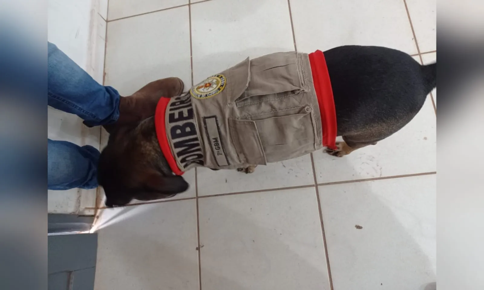 Foto 5