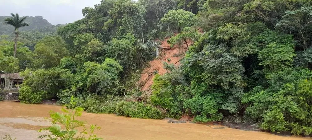 Foto 6
