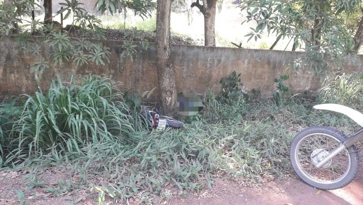 Motociclista morre após fazer curva, perder o controle e bater em árvore em Santarém