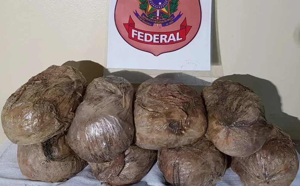 Cerca de 9 kg de cocaína encontrada dentro de um veículo