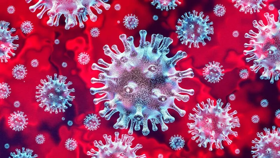 Mais 5 pessoas morrem na Grande Belém e casos de coronavírus no Pará chegam a 557, com 26 óbitos
