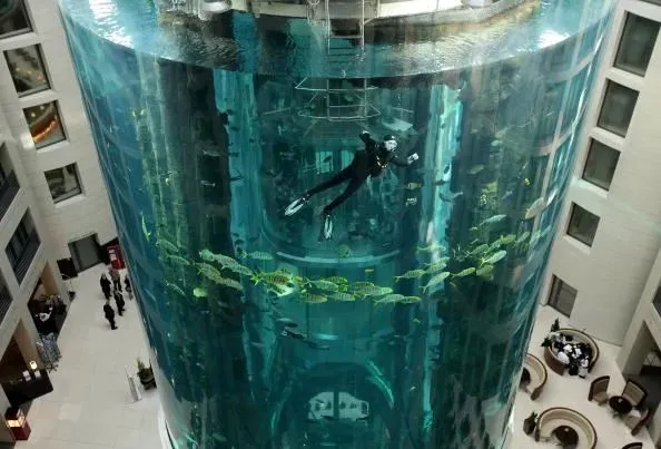 Foto 2