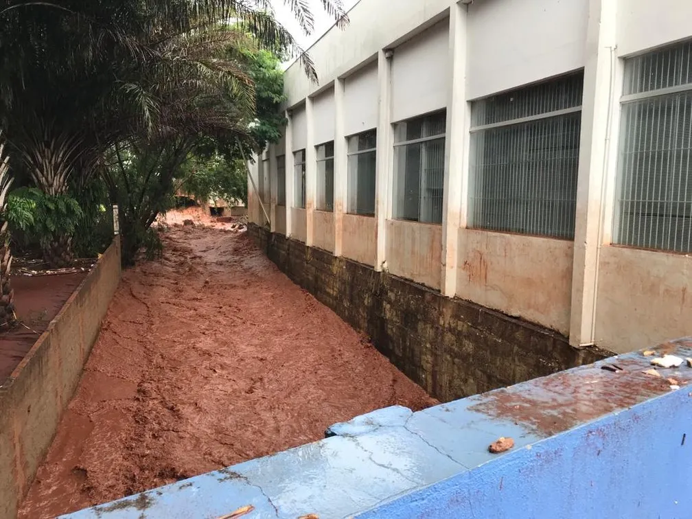 em Piracicaba.